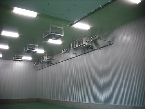 auto-pxC261.jpg
