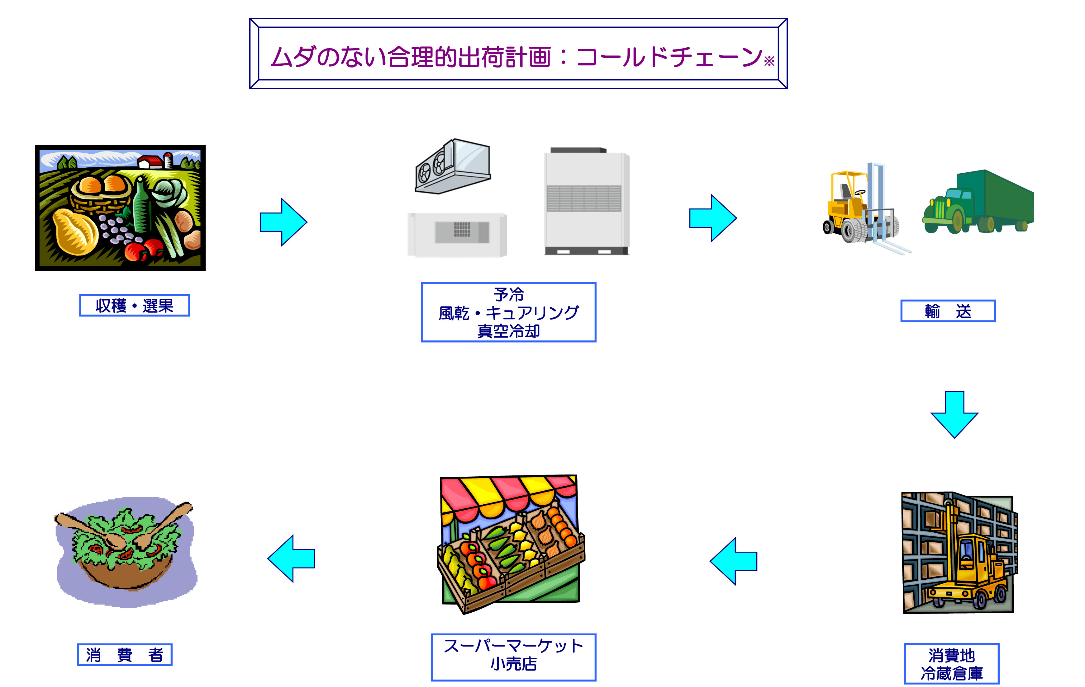 画像の説明